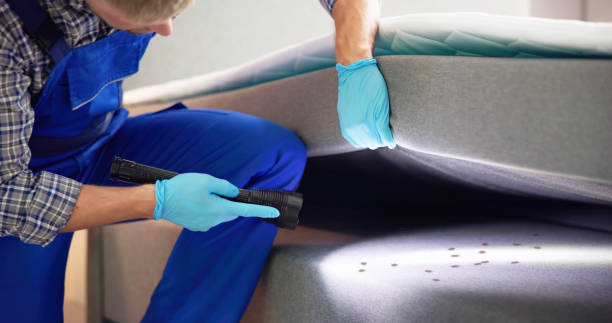 Reliable Zephyrhills West, FL Pest Control Solutions